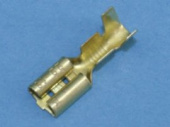 TAI-1.25F GOLD