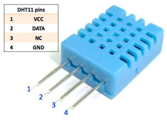 000088828_1