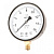 ДМ2010ф исп6 0-10кгс/см2 кл.т.1,5